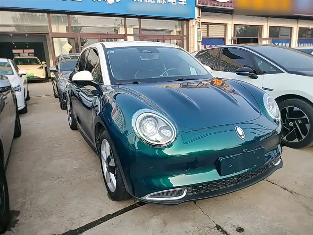 Euler Good Cat 2021 model 400km standard battery life Venus version ternary lithium купить на сайте DeffCars