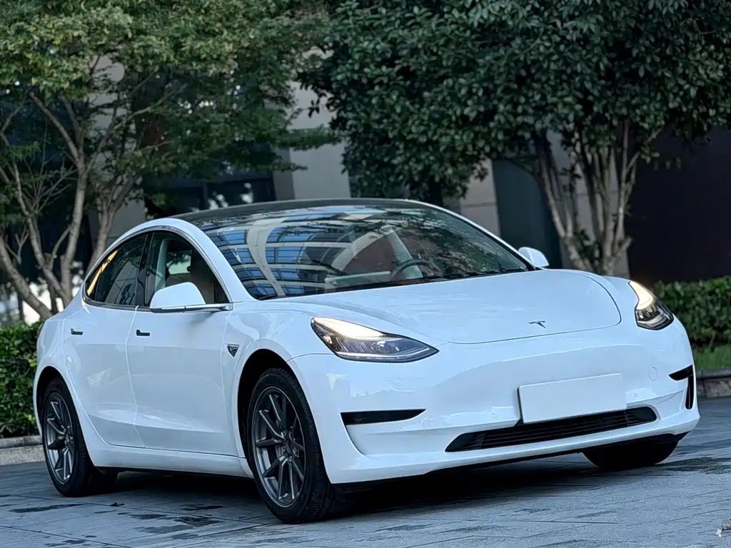 Model 3 2019 standard range rear drive upgraded version купить на сайте DeffCars