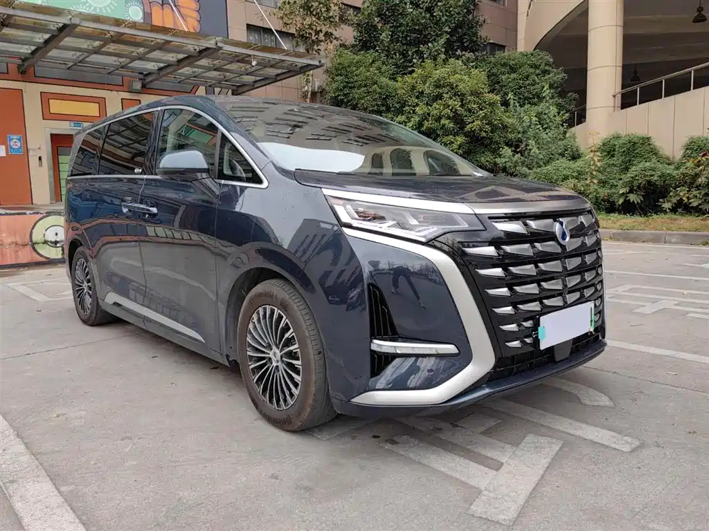 Denza D9 2022 DM-i 1040 Premium Type купить на сайте DeffCars