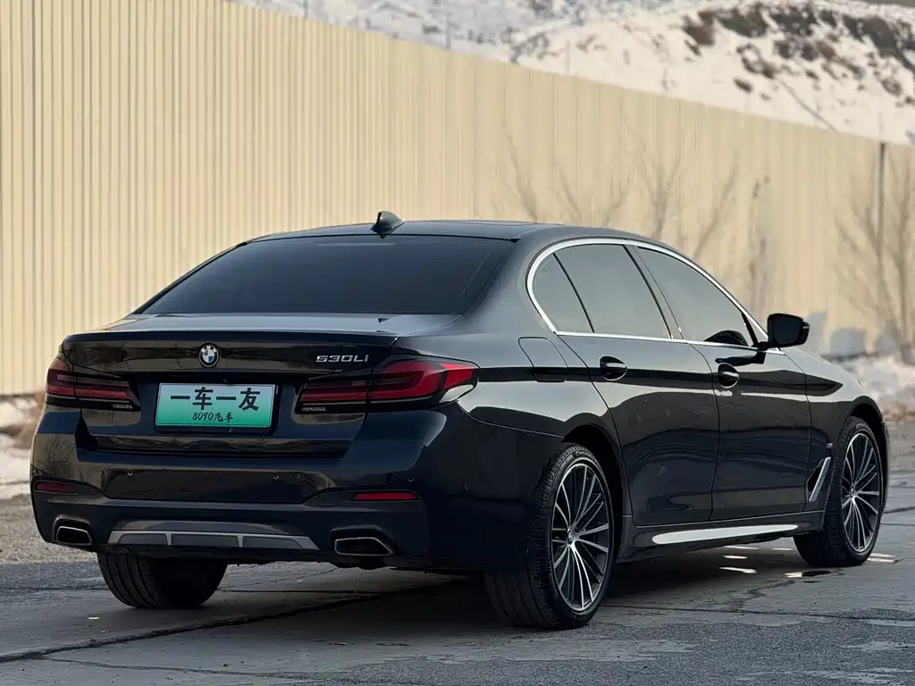BMW 5 Series 2021 530Li Leading M Sports Package купить на сайте DeffCars