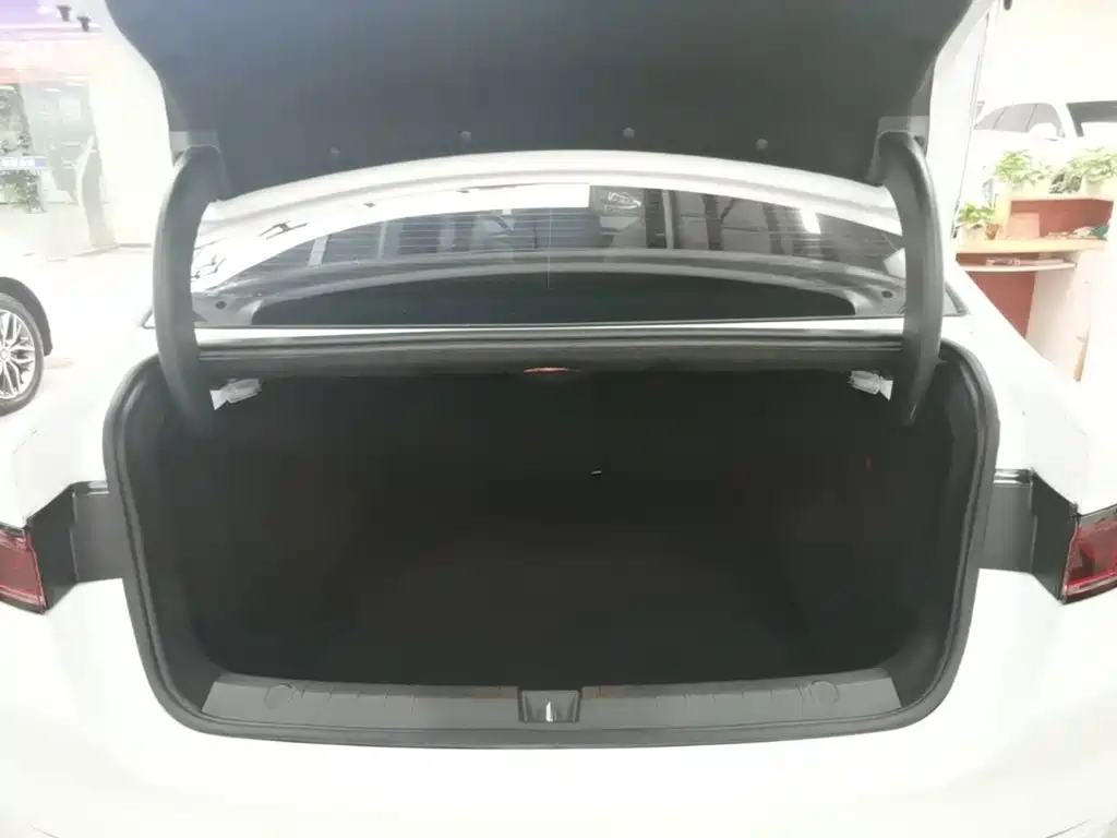 Qin PLUS 2021 EV 500KM Premium Model купить на сайте DeffCars