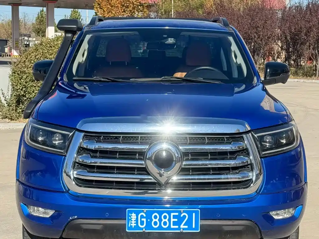 Cannon 2021 2.0T passenger global version automatic gasoline four-wheel drive exclusive standard box GW4C20B купить на сайте DeffCars