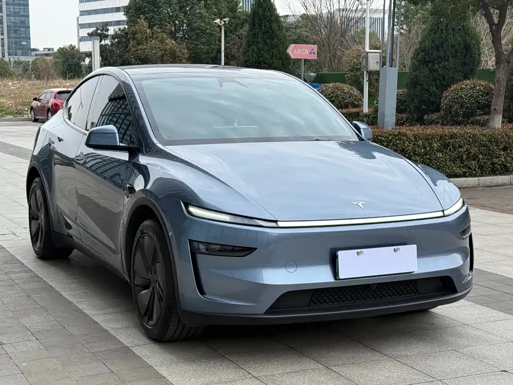 Model Y 2025 rear-wheel drive version купить на сайте DeffCars