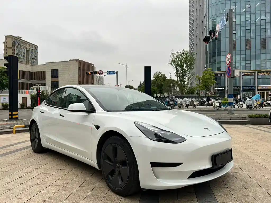 Model 3 2021 facelift standard range rear drive upgraded version 3D1 купить на сайте DeffCars