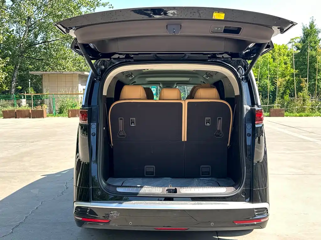 Denza D9 2024 DM-i 1050 Exclusive Type купить на сайте DeffCars