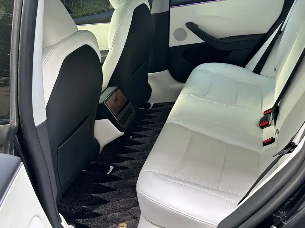 Model 3 2023 rear-wheel drive version купить на сайте DeffCars