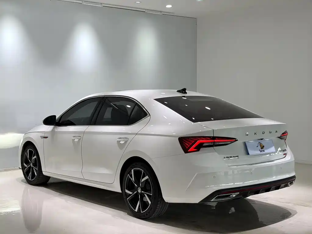 Octavia 2022 Pro TSI280 Luxury Edition купить на сайте DeffCars