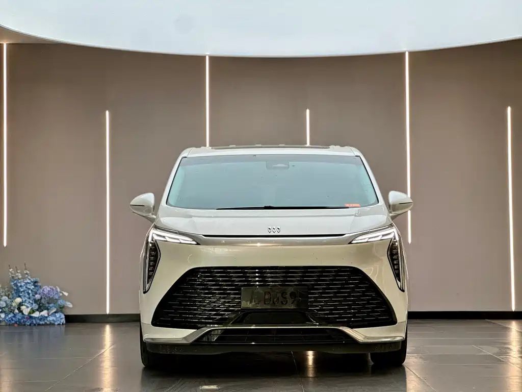 Century 2023 2.0T Six-seater Yuanshi Edition купить на сайте DeffCars
