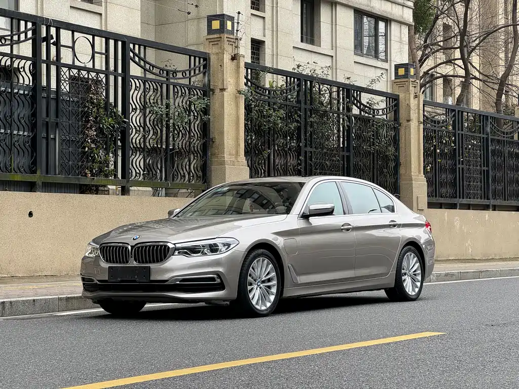 BMW 5 Series New Energy 2020 Mileage Upgraded Version 530Le Luxury Package купить на сайте DeffCars