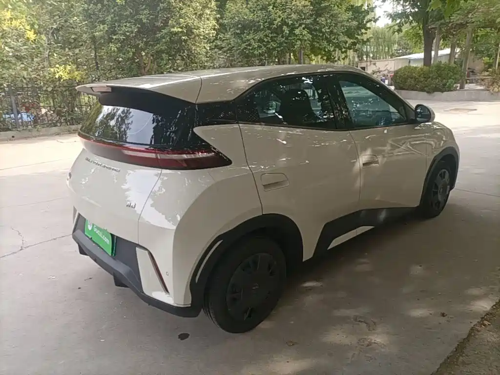 Seagull 2023 Vitality Edition купить на сайте DeffCars
