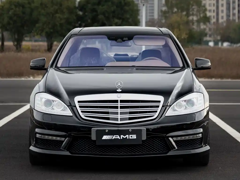 Mercedes-Benz S-Class AMG 2010 AMG S 65 купить на сайте DeffCars