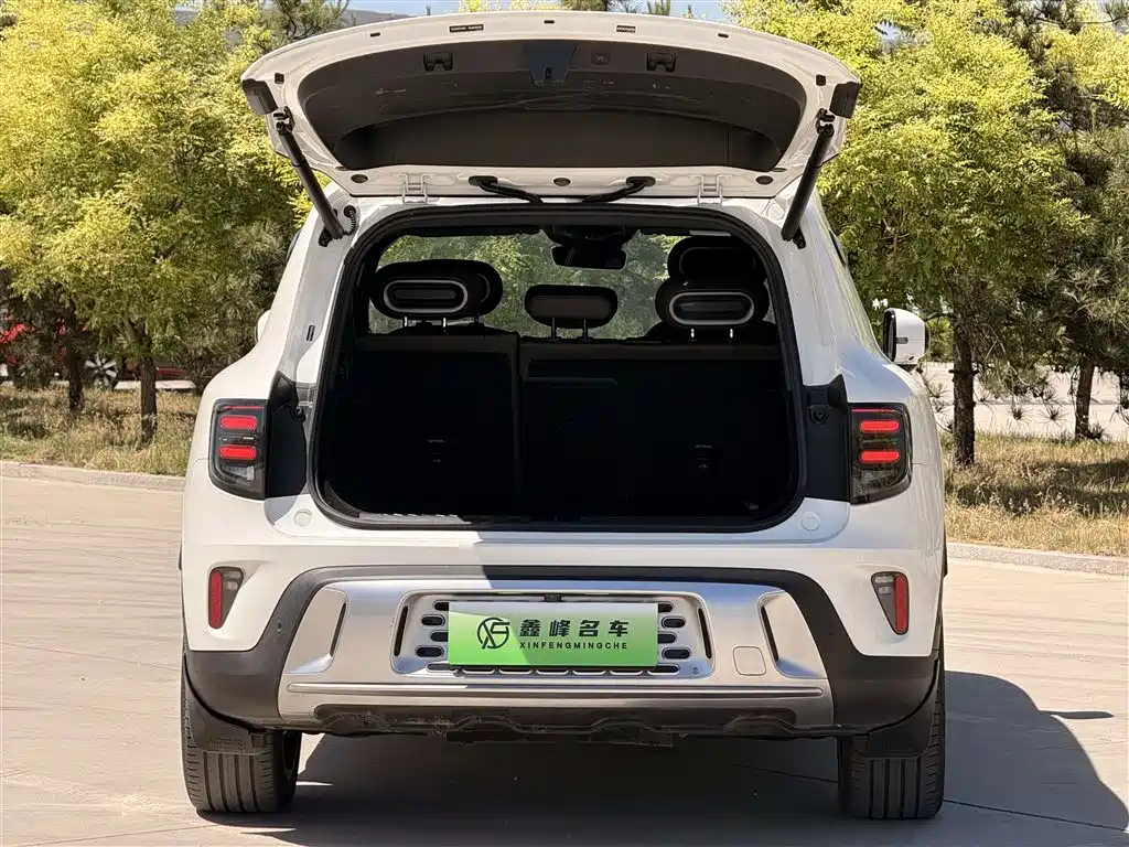 smart Elf #5 2024 long-life Qilu luxury version купить на сайте DeffCars