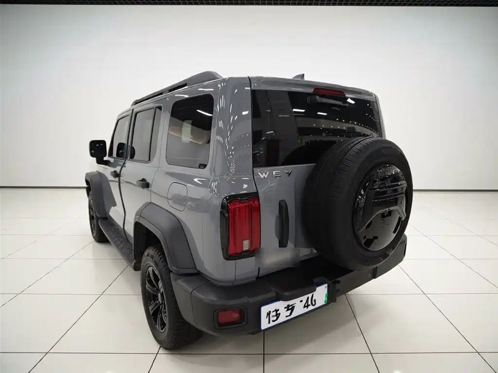 Tank 300 2021 Off-Road Version 2.0T Conqueror купить на сайте DeffCars