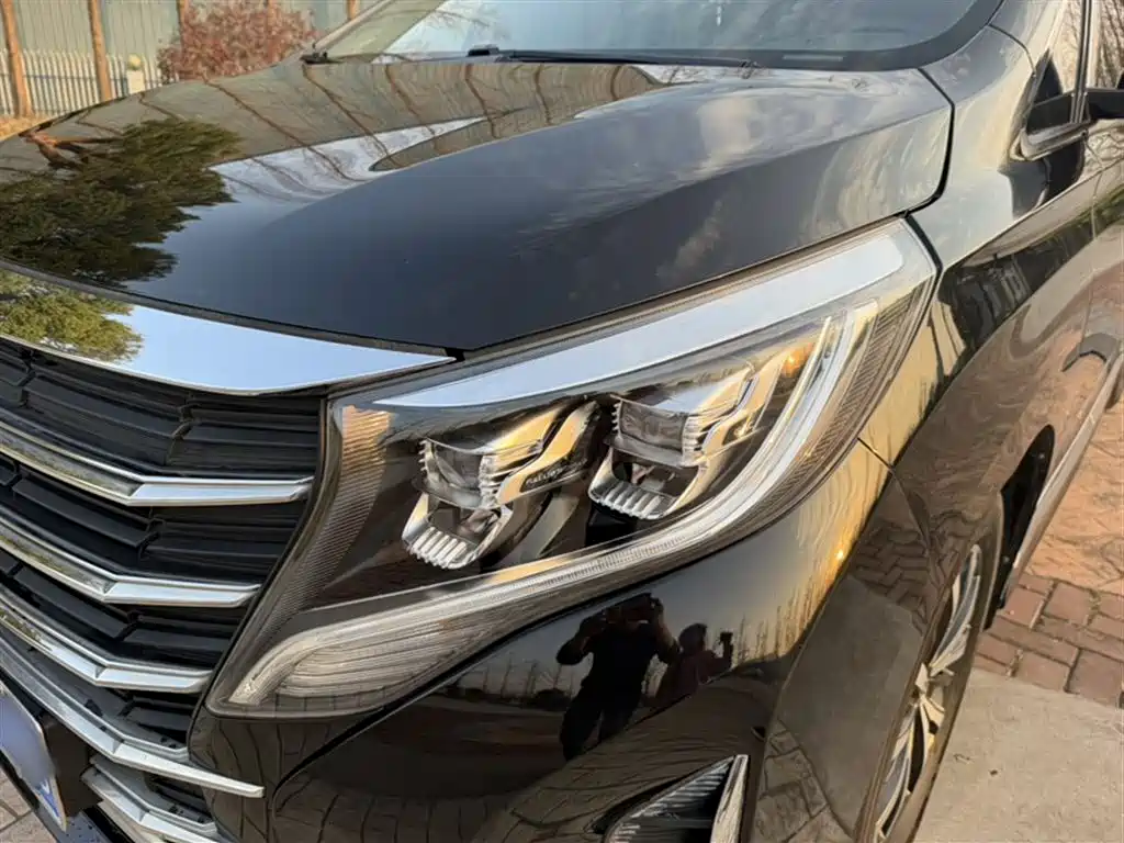 Trumpchi M8 2021 Facelift Lingxiu Series 390T Deluxe Edition купить на сайте DeffCars