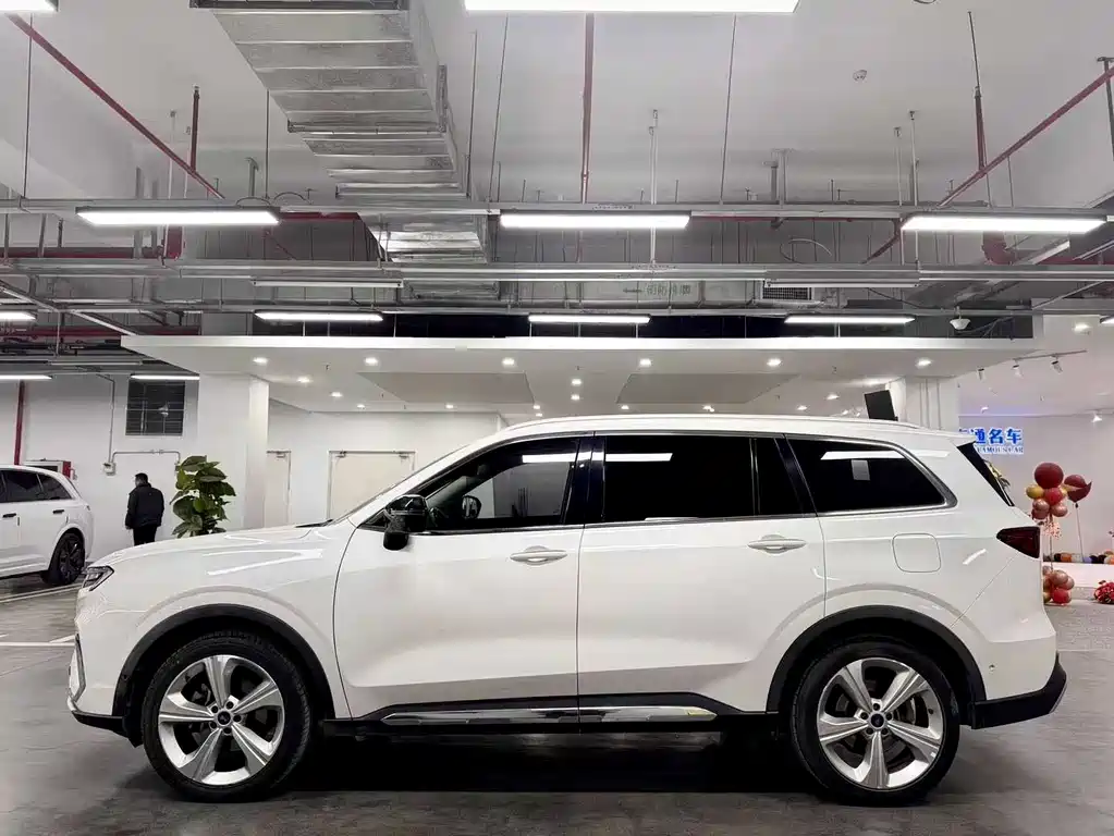 Lingyu 2021 EcoBoost 225 Collar Type PLUS 6-seater купить на сайте DeffCars
