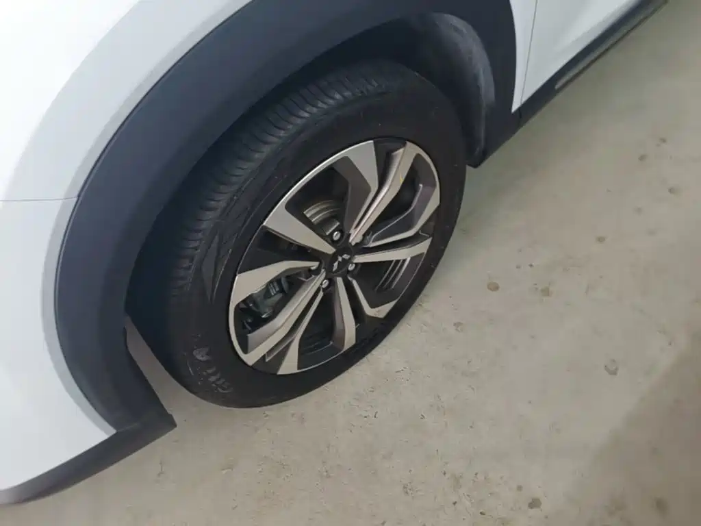 Xingchen (Asta) 2022 2.0L DHT купить на сайте DeffCars