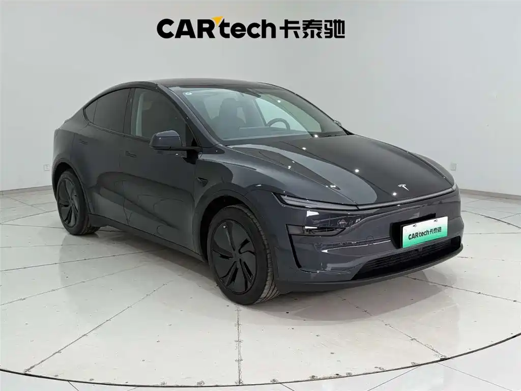 Model Y 2025 rear-wheel drive version купить на сайте DeffCars