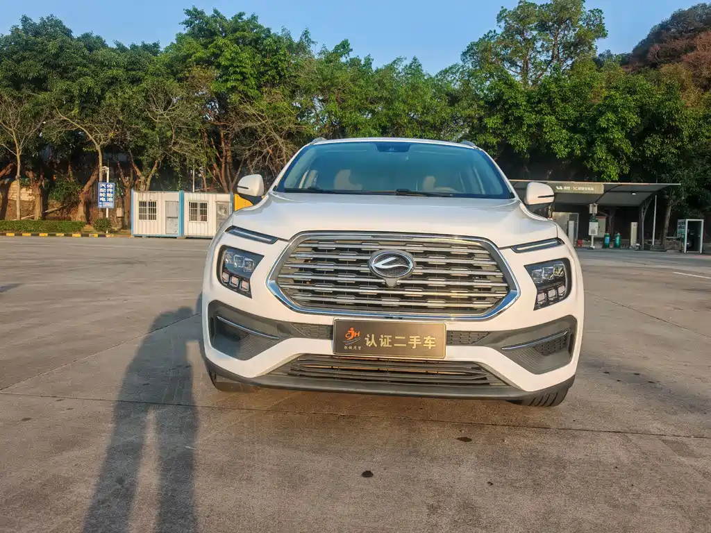 Lufeng Rongyao 2020 1.5GTDI automatic flagship version купить на сайте DeffCars