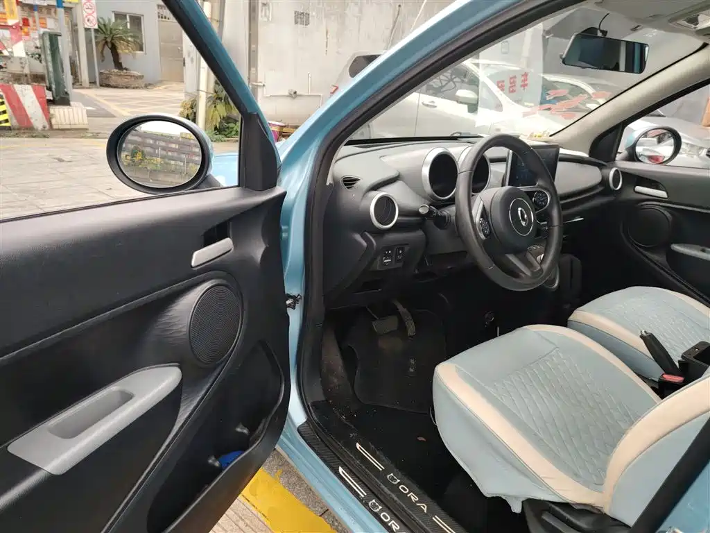 Euler Black Cat 2019 301km Standard Edition купить на сайте DeffCars