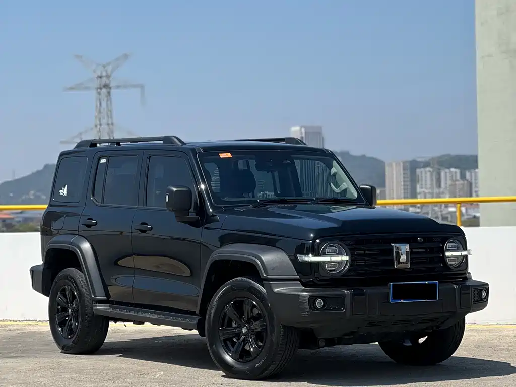 Tank 300 2024 2.0T Conqueror купить на сайте DeffCars