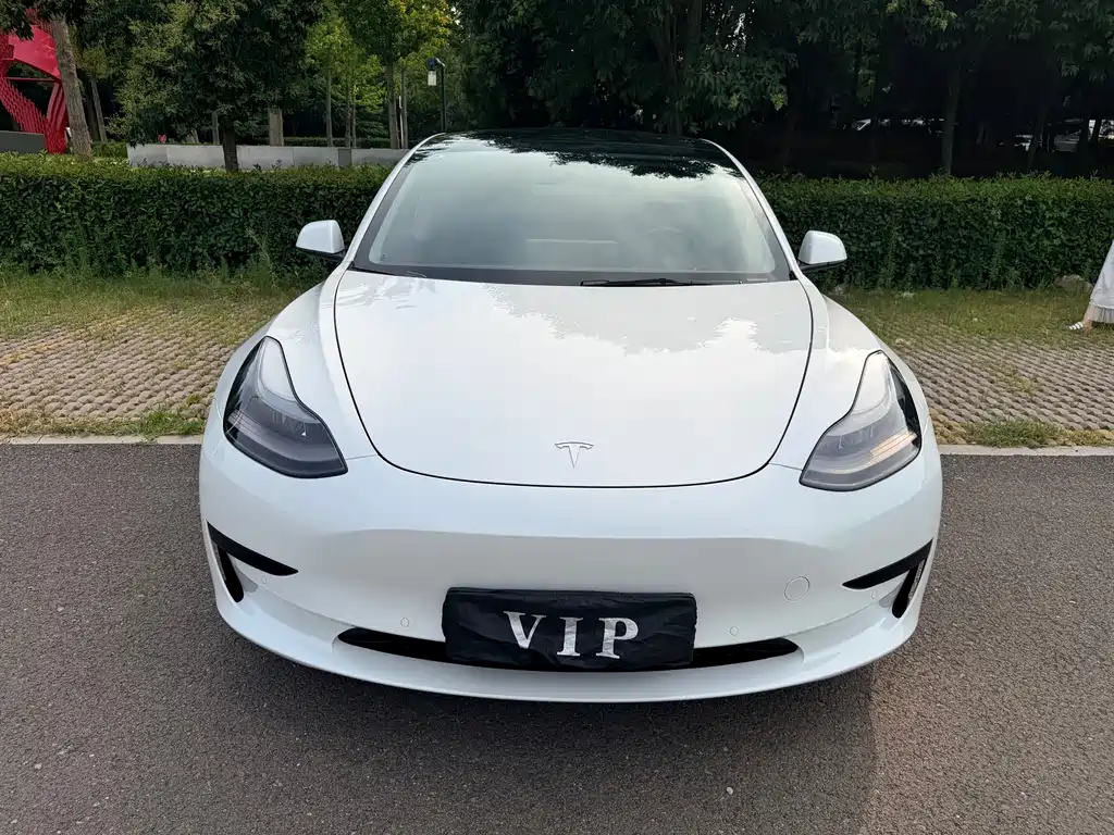 Model 3 2021 modified standard battery life rear drive upgrade version 3D1 купить на сайте DeffCars