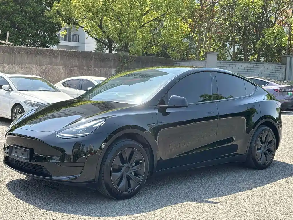 Model Y 2024 rear-wheel drive version купить на сайте DeffCars