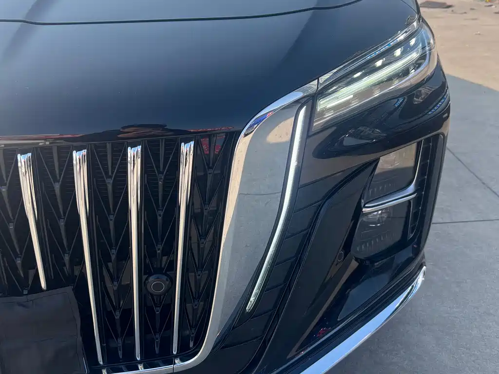 Hongqi H5 2024 2.0T automatic smart connected flag version купить на сайте DeffCars