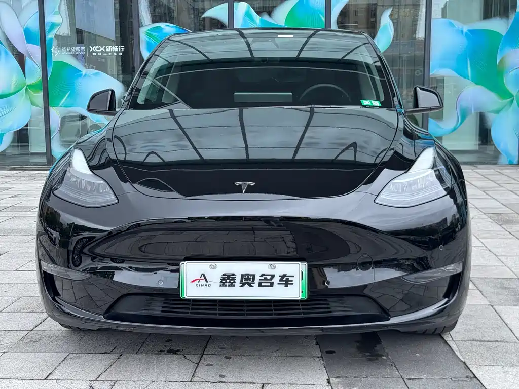 Model Y 2021 Standard Range Rear Drive Edition купить на сайте DeffCars