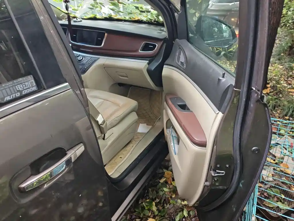 Buick GL8 2017 25S luxury model National V купить на сайте DeffCars