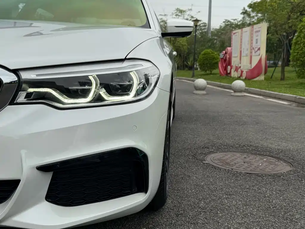 BMW 5 Series 2020 530Li Leading M Sports Package купить на сайте DeffCars