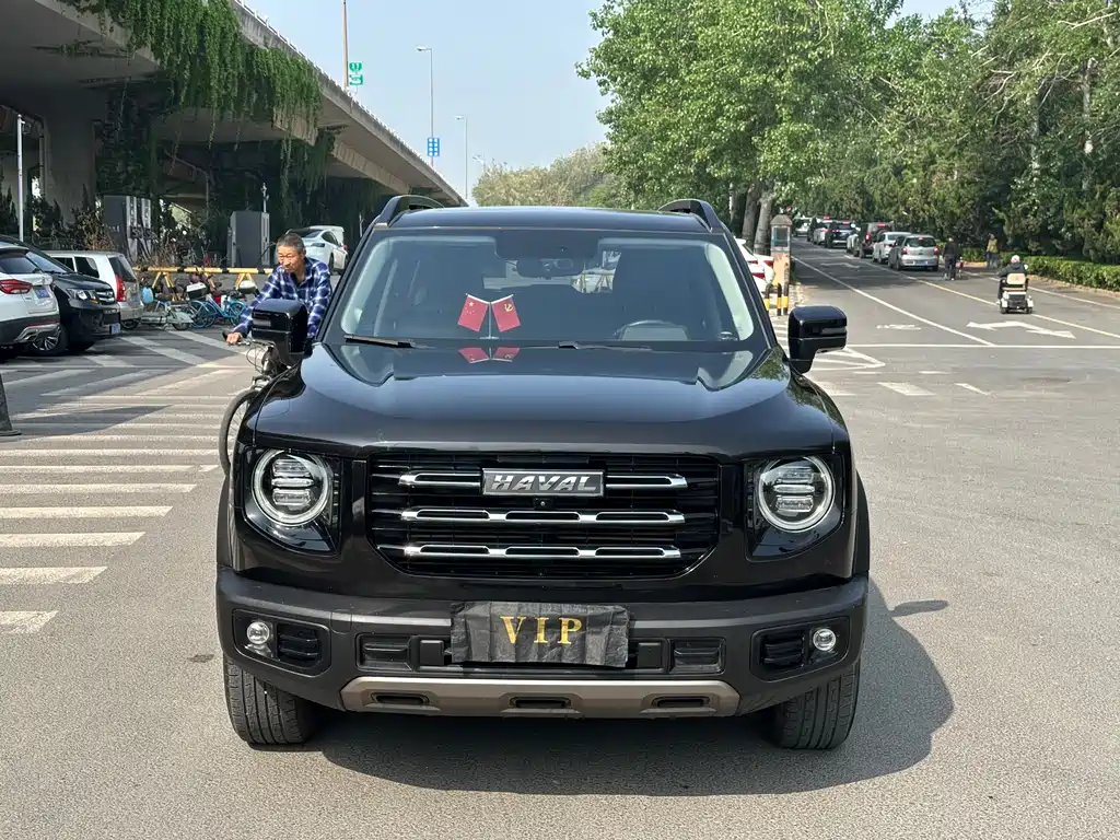 Havaldog 2021 1.5T DCT two-wheel drive Labrador version купить на сайте DeffCars