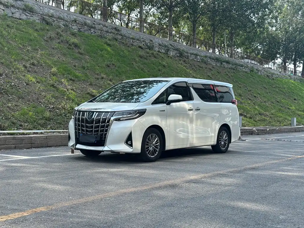 Alfa 2021 Dual Engine 2.5L Deluxe Edition купить на сайте DeffCars