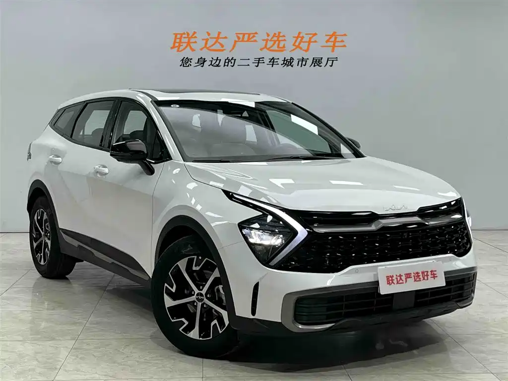 Lion Expands the World 2025 2.0T Two-wheel Drive Premium Intelligent Edition купить на сайте DeffCars