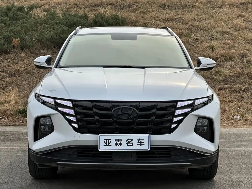 Tucson 2023 Tucson L 1.5T automatic two-wheel drive GLX Elite Edition купить на сайте DeffCars