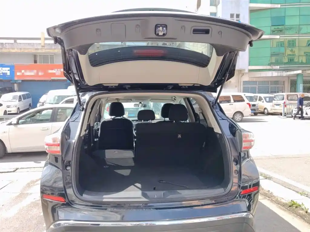 Loulan 2019 2.5L XE 2WD Elite Edition National VI купить на сайте DeffCars