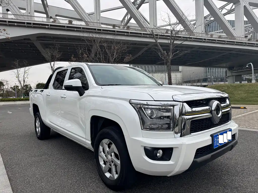 King Kong Cannon 2023 2.0T automatic gasoline two-wheel drive elite flat box GW4C20C купить на сайте DeffCars