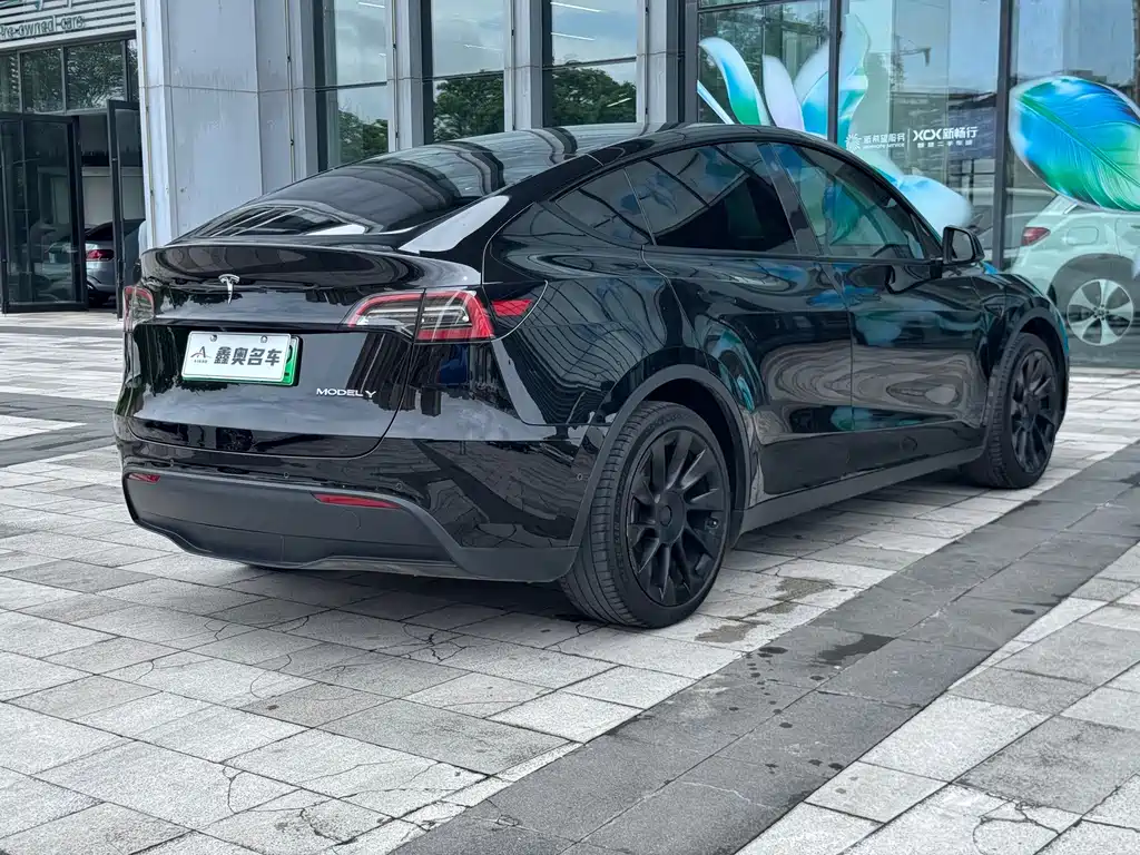 Model Y 2021 Standard Range Rear Drive Edition купить на сайте DeffCars