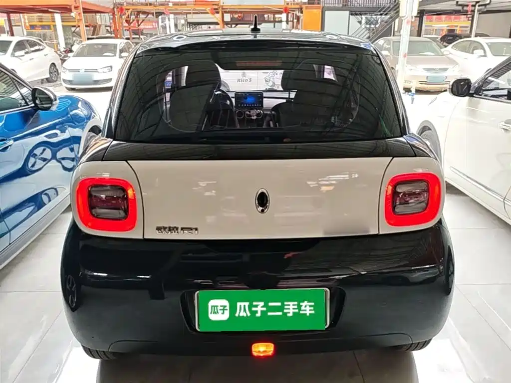 Euler Black Cat 2019 301km Standard Edition купить на сайте DeffCars