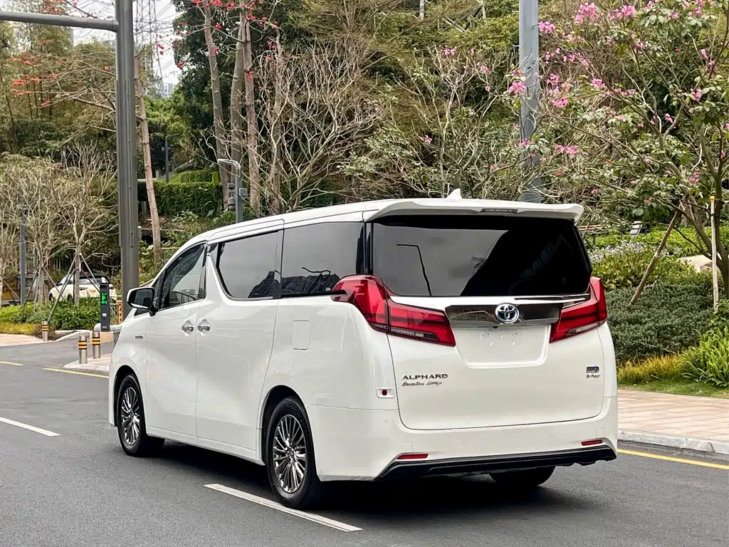 Alfa 2021 Shuangqing 2.5L Premium Edition купить на сайте DeffCars