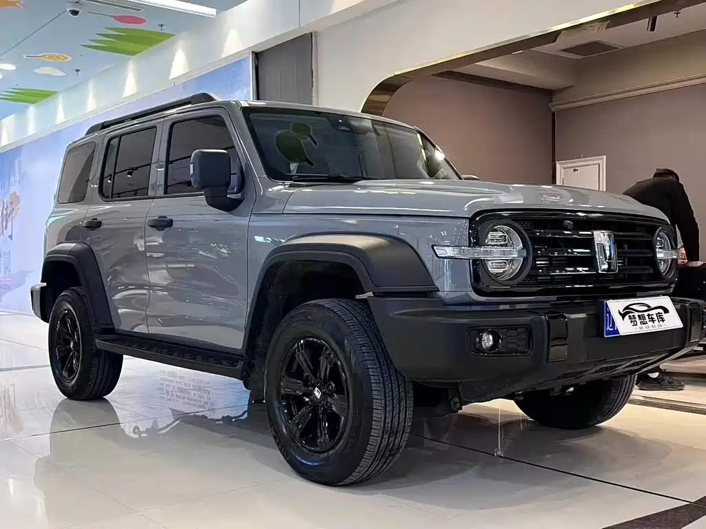 Tank 300 2025 2.0T gasoline challenger купить на сайте DeffCars