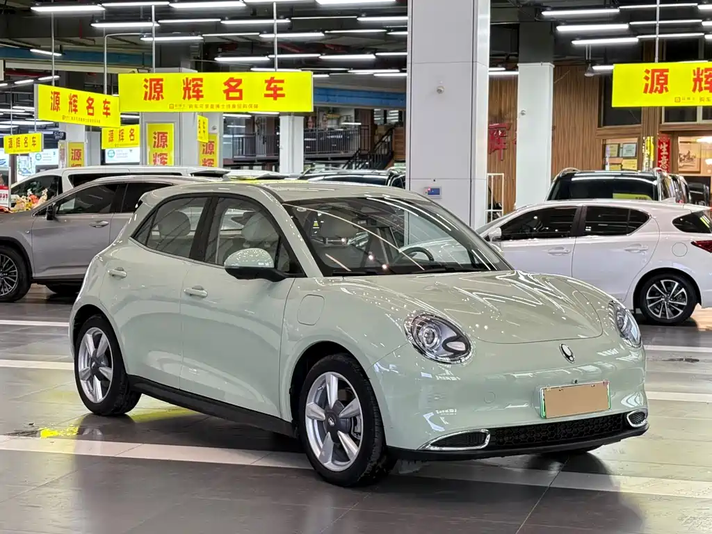 Euler Good Cat 2023 model 401km standard battery life luxury model lithium iron phosphate купить на сайте DeffCars