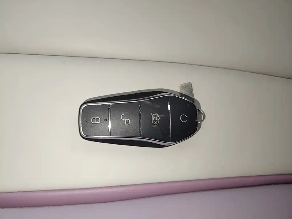 Dolphin 2021 405km Fashion Edition купить на сайте DeffCars