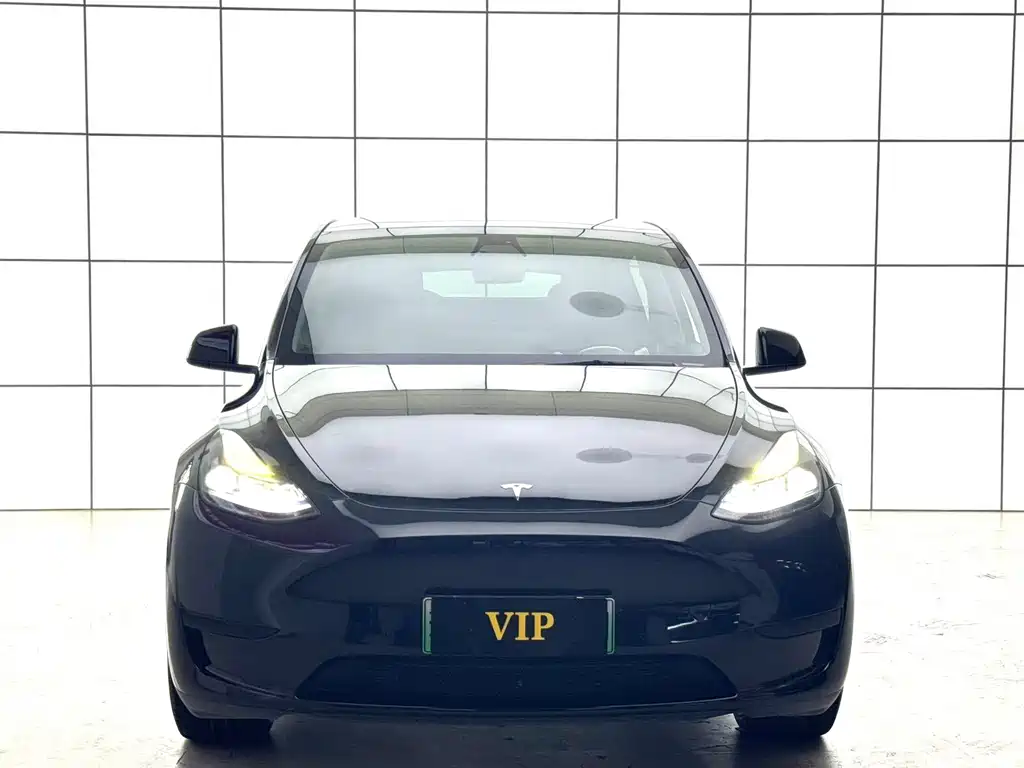 Model Y 2022 rear-wheel drive version купить на сайте DeffCars