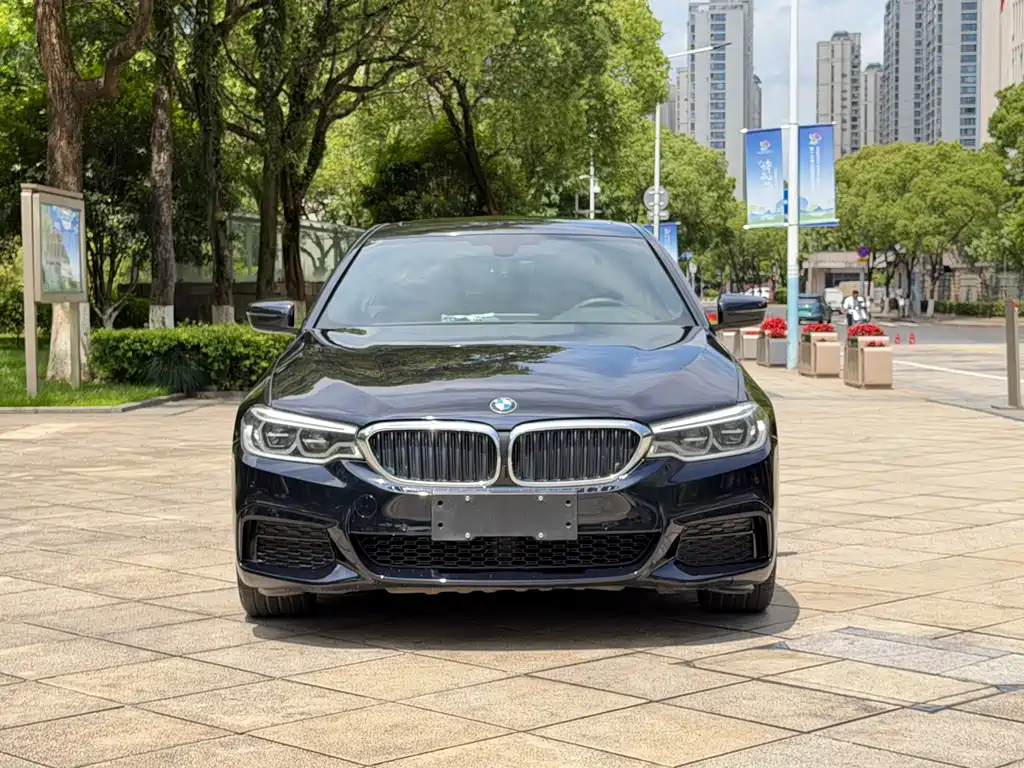 BMW 5 Series 2020 530Li xDrive M Sports Package купить на сайте DeffCars