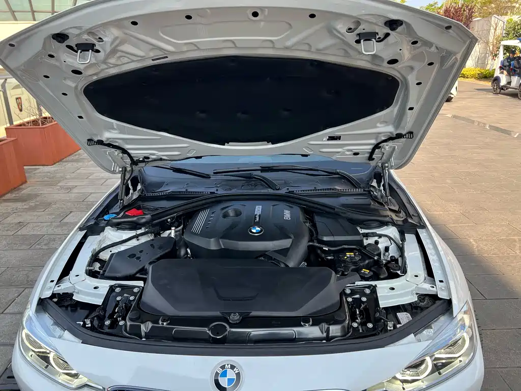 BMW 3 Series 2018 320Li Leading Luxury Package купить на сайте DeffCars