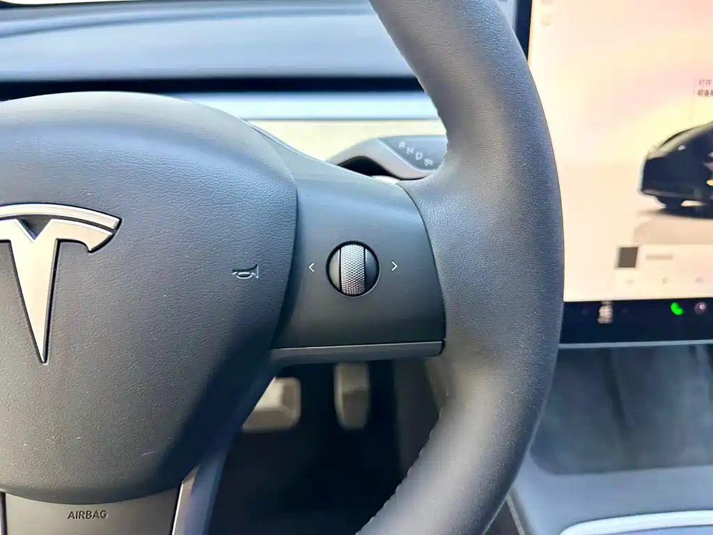 Model Y 2022 modified rear-wheel drive version купить на сайте DeffCars