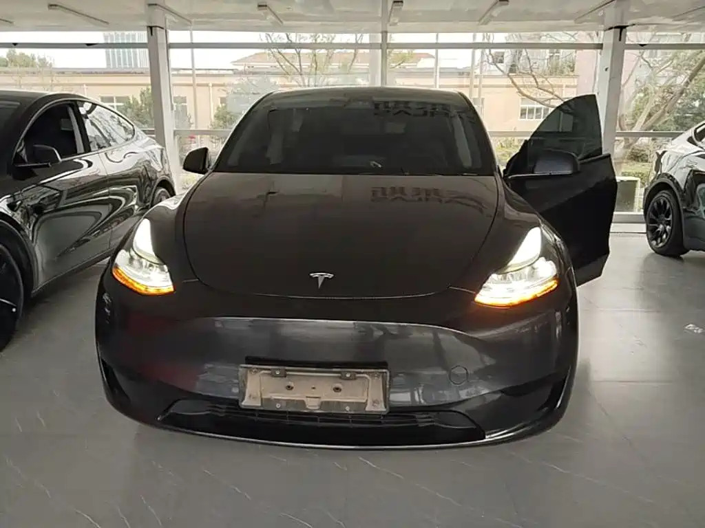 Model Y 2024 rear-wheel drive version купить на сайте DeffCars