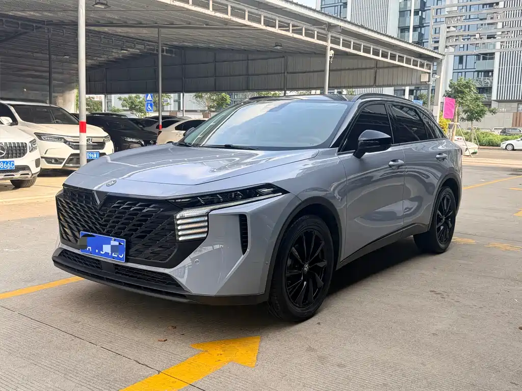 Venucia V 2021 260T King Edition купить на сайте DeffCars