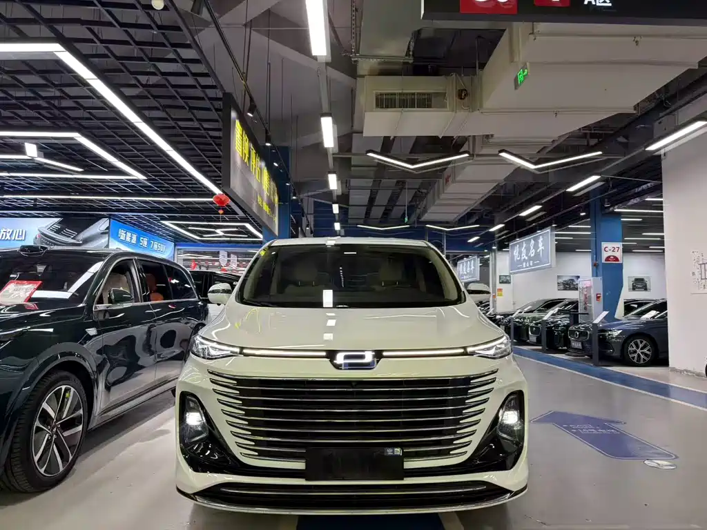 Pentium M9 2023 2.0T Exclusive Model купить на сайте DeffCars
