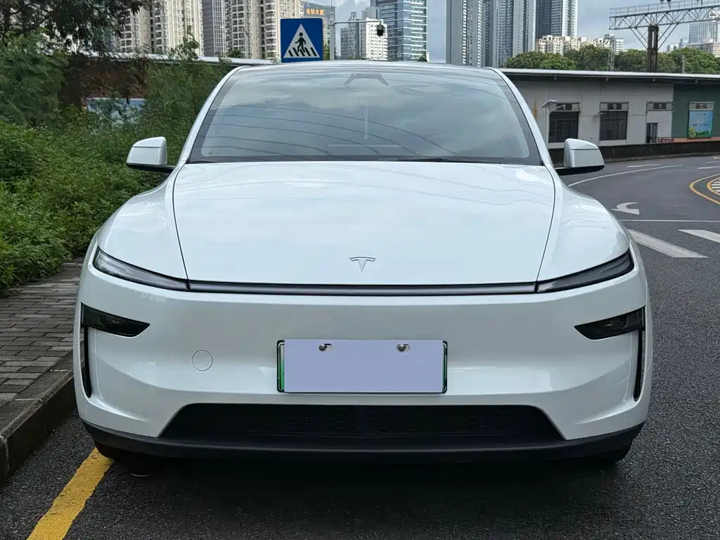 Model Y 2025 rear-wheel drive version купить на сайте DeffCars